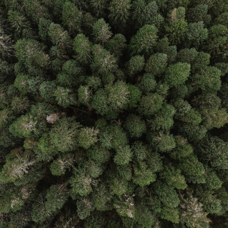 Low-impact nature route